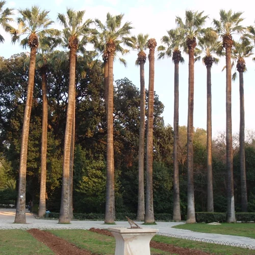 "Το Μουσείο στον Εθνικό Κήπο" γιορτάζει 10 χρόνια με δύο καλοκαιρινά προγράμματα