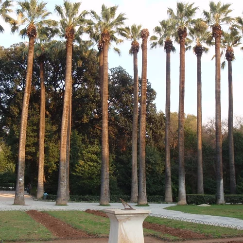 Λίγες ακόμα δωρεάν ξεναγήσεις σε ιστορικά σημεία της Αθήνας