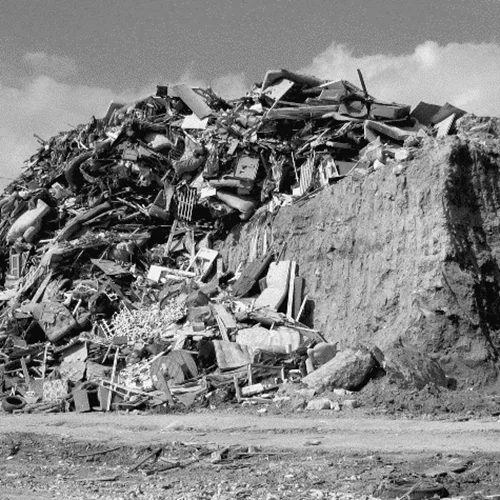 "Ελαιώνας ‘23": Μια νέα εικαστική έκθεση εξετάζει τις συνέπειες της ανθρώπινης παρέμβασης στο φυσικό περιβάλλον