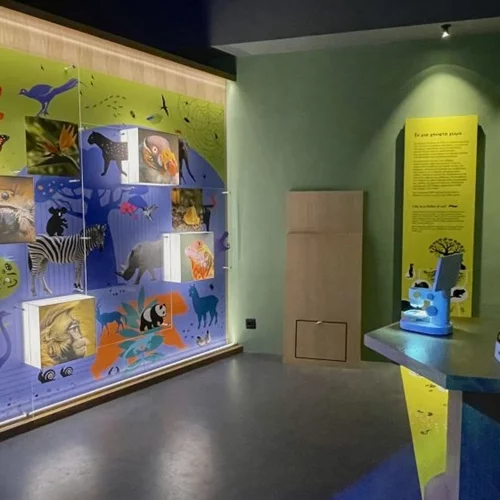 "Βιοποικιλότητα. Όλα συνδέονται": Αυτή είναι η νέα έκθεση του Μουσείου Φυσικής Ιστορίας Γουλανδρή