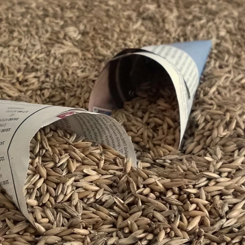 "Ιχνογραφία"¨: Εικαστικοί της ομάδας ΚαλλιέργειαΚαλλιέργεια σκιαγραφούν την πορεία της σύγχρονης ζωής