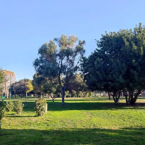 Τα δωρεάν της εβδομάδας: Urban πικνίκ στην Ακαδημία Πλάτωνος