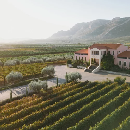 Μεγάλες Μέρες Νεμέας 2024: Μουσική, γαστρονομία και street art στο Κτήμα Σκούρα