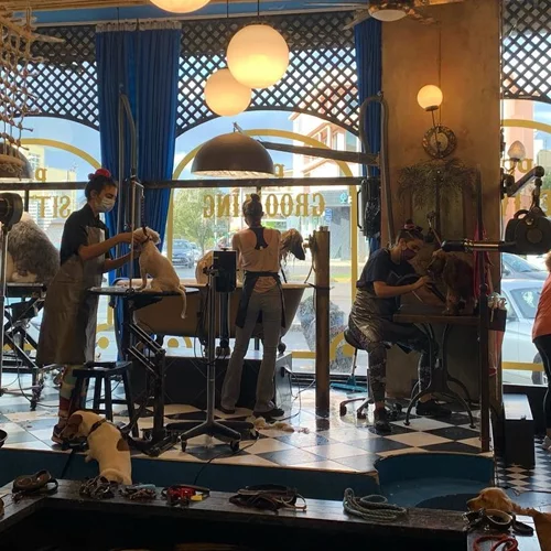 "Petdemonium": Τι σκαρώνουν οκτώ καλλιτέχνες στο πιο θεότρελο pet shop & grooming του Χολαργού;