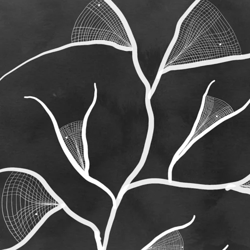 Ένας νέος χώρος τέχνης στο Κουκάκι φέρνει την άνοιξη