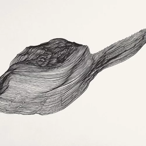 Μια περιπλάνηση στα "Συγγενή τοπία" του Αντώνη Κουτρουμπή στην Ελληνοαμερικανική Ένωση