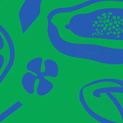 Brazilian Day: Γνωρίστε τη Βραζιλία στο Ζάππειο!