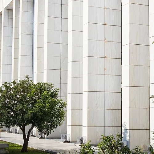 Γιορτάζουμε την Ημέρα Φροντιστή Ατόμων με Άνοια στο Μέγαρο