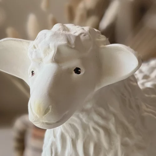 Για φίνα μοσχίδα, φιλέτο προβατίνας και κόκορα παστιτσάδα στον Νέο Κόσμο