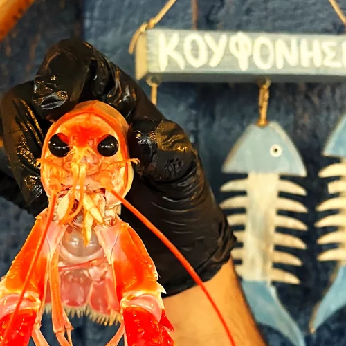 Γνώριζες ποιο είναι το πιο 'τρελό' ψαρομάγαζο της Αθήνας;