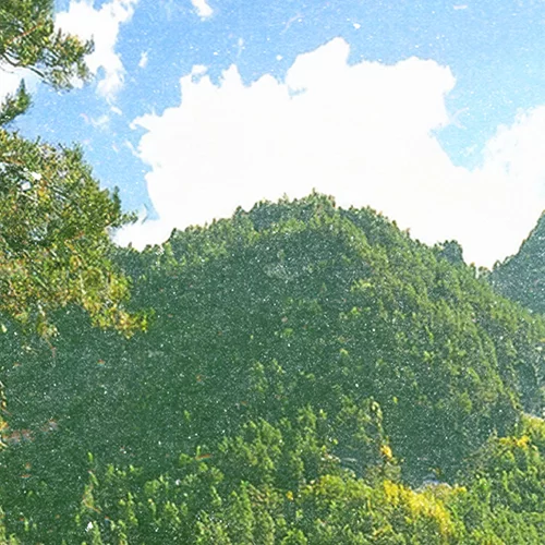 Voés Festival 2025 με Νατάσσα Μποφίλου, Δημήτρη Μυστακίδη, Μάρθα Φριντζήλα, 1000MODS και τη Judy να... αγνοείται