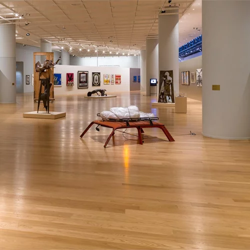 Ιανουάριος στην Εθνική Πινακοθήκη με νέες εκθέσεις, περφόρμανς και εκπαιδευτικές δράσεις