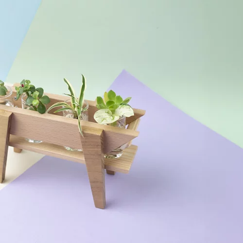 Φέτος του Αγίου Βαλεντίνου, δεν αγοράζουμε (μόνο) λουλούδια