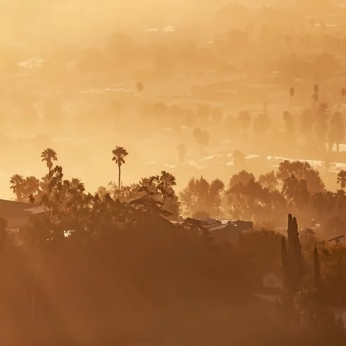 Bunny Museum: Το πιο ασυνήθιστο μουσείο του Λος Άντζελες δεν υπάρχει πια