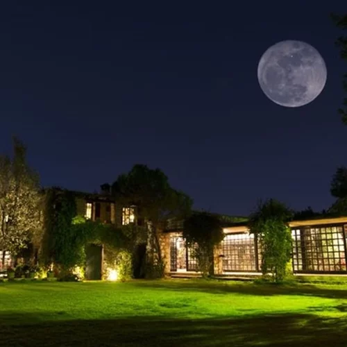 Κτήμα Νάσιουτζικ: Η τελευταία βούληση του Γ. Νάσιουτζικ και τι μεθοδεύει το Μουσείο Μπενάκη