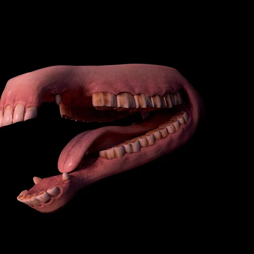 Τι είναι το "συλλογικό γουργουρητό" που ηχεί στο Κτίριο "Νόμπελ";