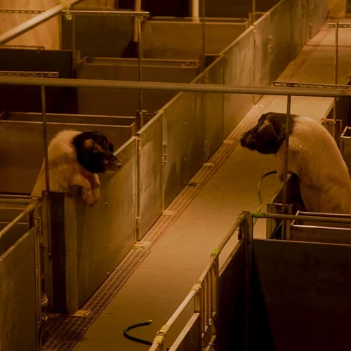 Οι must-see εκθέσεις για τον Μάιο