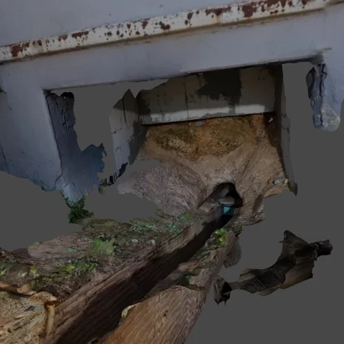 Καταδύσεις στο ασυνείδητο και νέες ξεναγήσεις στην έκθεση "το συλλογικό γουργουρητό"