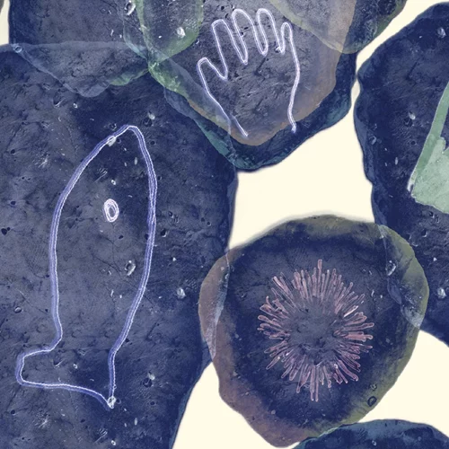 Ένα διήμερο αφιερωμένο στο Αιτωλικό και τους ανθρώπους του