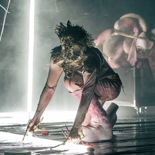 "Creata": Μια εικαστική περφόρμανς για την αρχέγονη βία