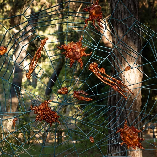 Παράταση για την έκθεση "Shinrin-yoku" στον Βοτανικό Κήπο Διομήδους