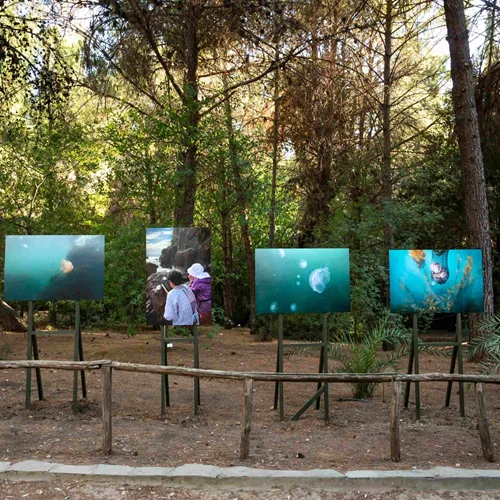 10 εκθέσεις που θα μας απαλλάξουν από τον καύσωνα