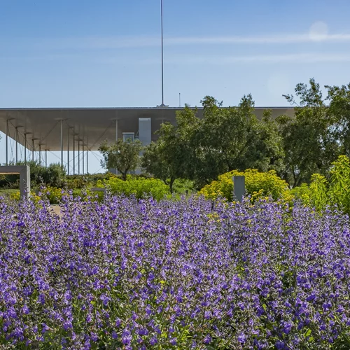 Τα δωρεάν της εβδομάδας: Τρεις αφορμές για να (ξανα)πας στο "Νιάρχος"