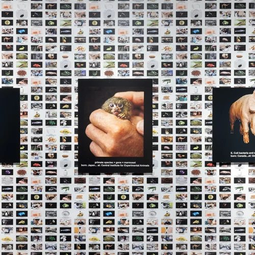 ΕΜΣΤ: "Αν τα ζώα πίστευαν στον Θεό, ο Διάβολος θα ήταν άνθρωπος"