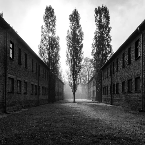 Τι θα δούμε στο Μουσείο Μπενάκη τους επόμενους μήνες