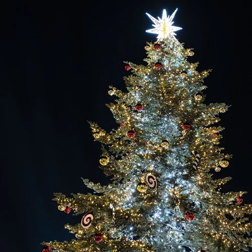 Η Αθήνα σε χριστουγεννιάτικο mood: Δείτε φωτογραφίες από το στολισμένο κέντρο