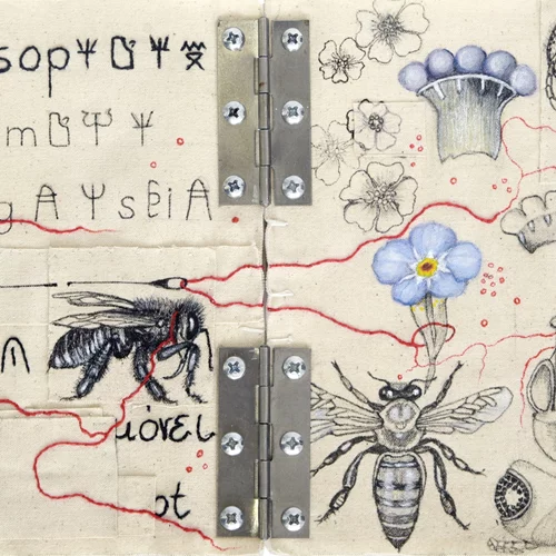 Η οικολογία συναντά τη σύγχρονη τέχνη στην Πινακοθήκη Δήμου Αθηναίων