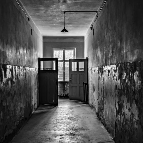 "Tehom": Μια έκδοση-μαρτυρία για τις συνθήκες στα στρατόπεδα συγκέντρωσης Μπίρκεναου και Άουσβιτς