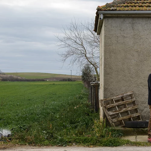 Ιστορίες του θεσσαλικού κάμπου στη Δημοτική Πινακοθήκη Νίκαιας-Ρέντη