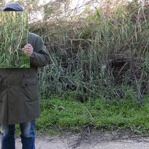 "Neo Tropical": Συγκερασμός τέχνης και οικοσυνείδησης στη γκαλερί Kalfayan