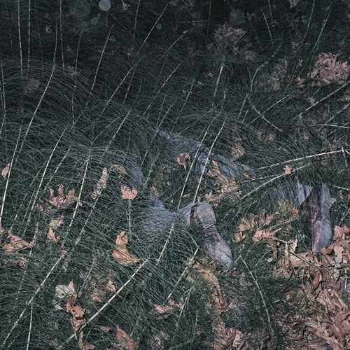 Αχαρτογράφητες περιοχές του υποσυνείδητου διερευνά μια γκαλερί στην Ομόνοια