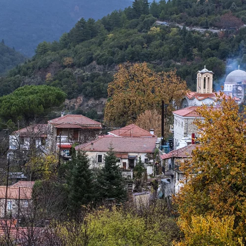 Νέος χρόνος γεμάτος μοναδικές δράσεις ξεπρόβαλε στη Βαμβακού Λακωνίας