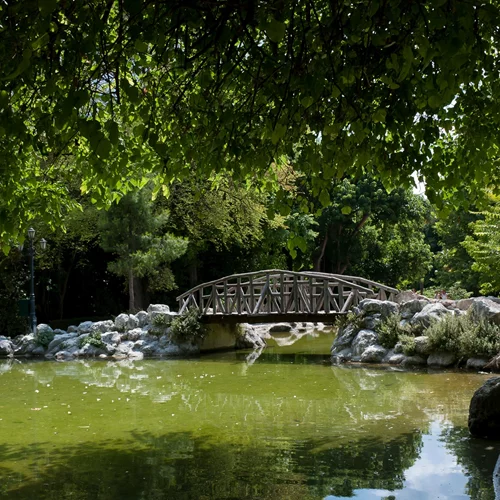 Αυτό το ΣΚ, τα πάρκα της πόλης έχουν την τιμητική τους