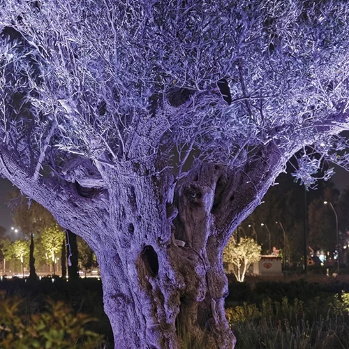 Τα "Τοπόσημα Διασύνδεσης" στο Καπνεργοστάσιο επαναπροσδιορίζουν τη σχέση μας με την πόλη