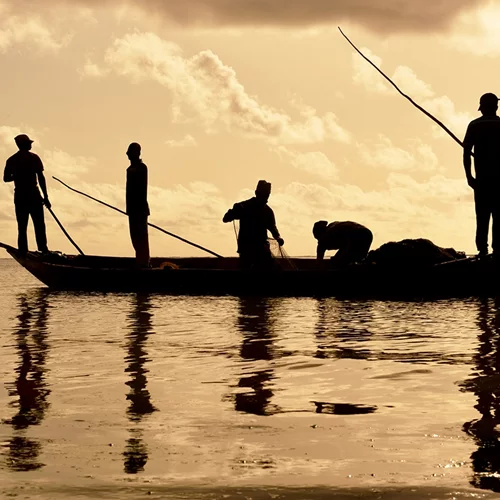 "Witnesses of the Earth": Νέα έκθεση φωτογραφίας στην Blank Wall Gallery