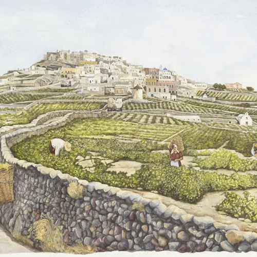 "Θηραϊκές Τελετουργίες": Απαθανατίζοντας το αρχέγονο πνεύμα της Σαντορίνης