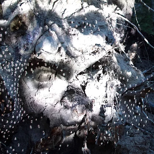 Οι Δελφοί αποκτούν έναν τεχνητό "Κήπο της Πυθίας"