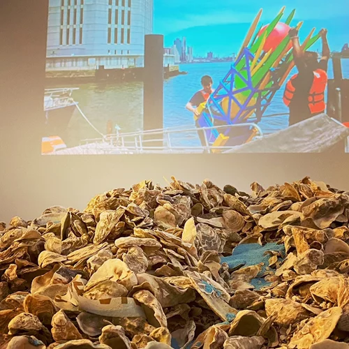 "Space for Marine Species": Μια έκθεση για την ισότητα και τη συστηματική περιβαλλοντική καταστροφή