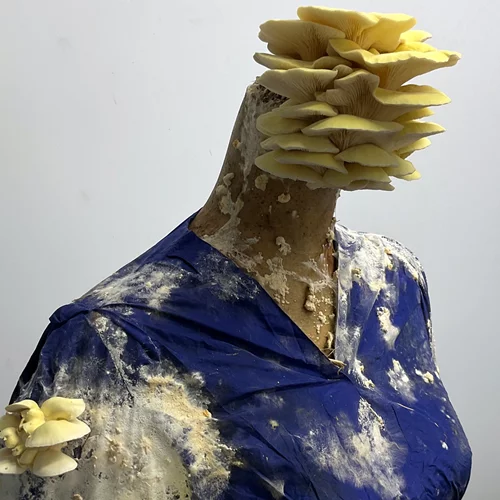 Έκθεση με βιολογικά γλυπτά στο Γεωργικό Μουσείο του Γεωπονικού Πανεπιστημίου