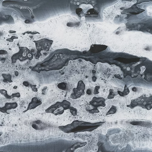 Έλληνες και Γάλλοι καλλιτέχνες ιχνηλατούν τη γέννηση της Αφροδίτης