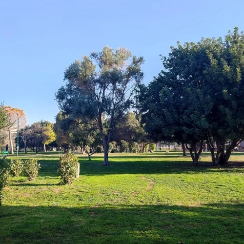 Τα δωρεάν της εβδομάδας: Γλέντι με τους Banda Calda στην Ακαδημία Πλάτωνος