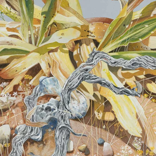 Η ζωγράφος Janet Λιοδάκη απαθανατίζει την άγρια ομορφιά της Κρήτης