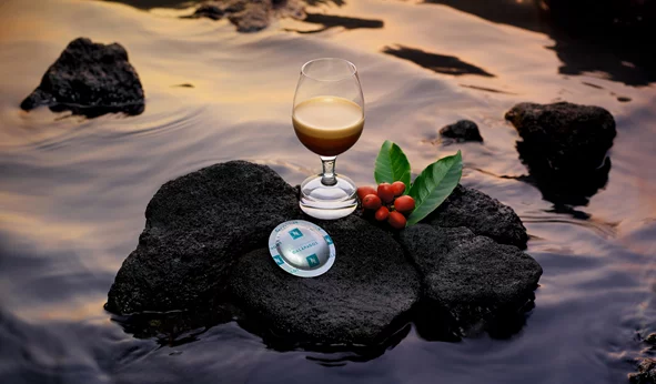 Υψηλή γαστρονομία και καφές: αρώματα και γεύσεις που συνδυάζονται