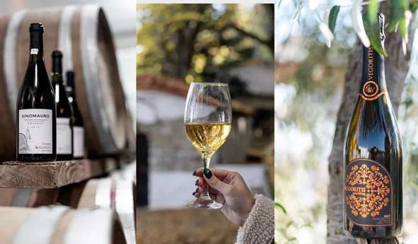 Δοκιμάζουμε δύο διαφορετικές &quot;πτυχές&quot; του Ξινόμαυρου από τον αμπελώνα των τεσσάρων Λιμνών
