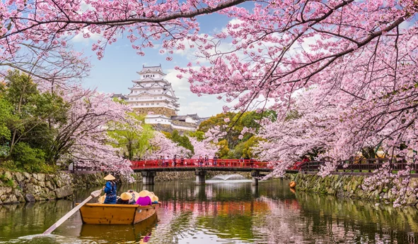 Ιαπωνία ή Νότια Κορέα; Τελικός προορισμός οι ανθισμένες κερασιές