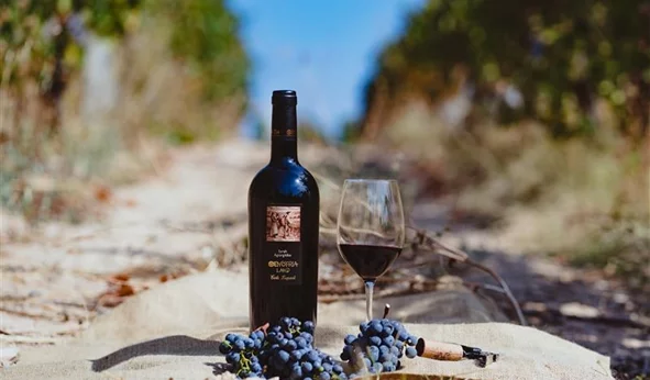 Το &quot;Οινότρια Γη&quot; του Costa Lazaridi  σου κάνει &quot;κόρτε&quot; στο γιορτινό τραπέζι